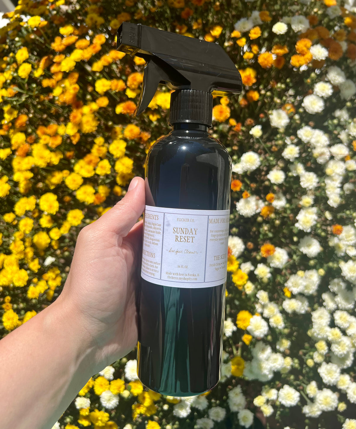 All-Purpose Cleaner
